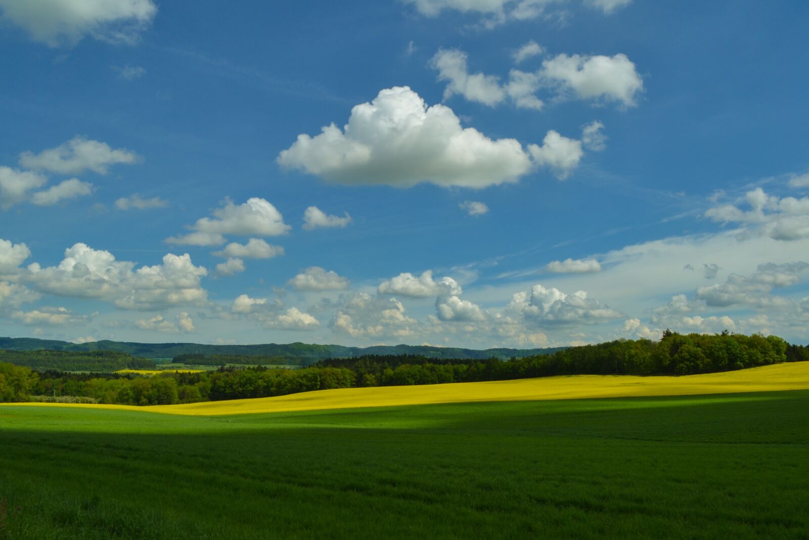 Nikon D3100 sample photo. Field, meadow, sky photography