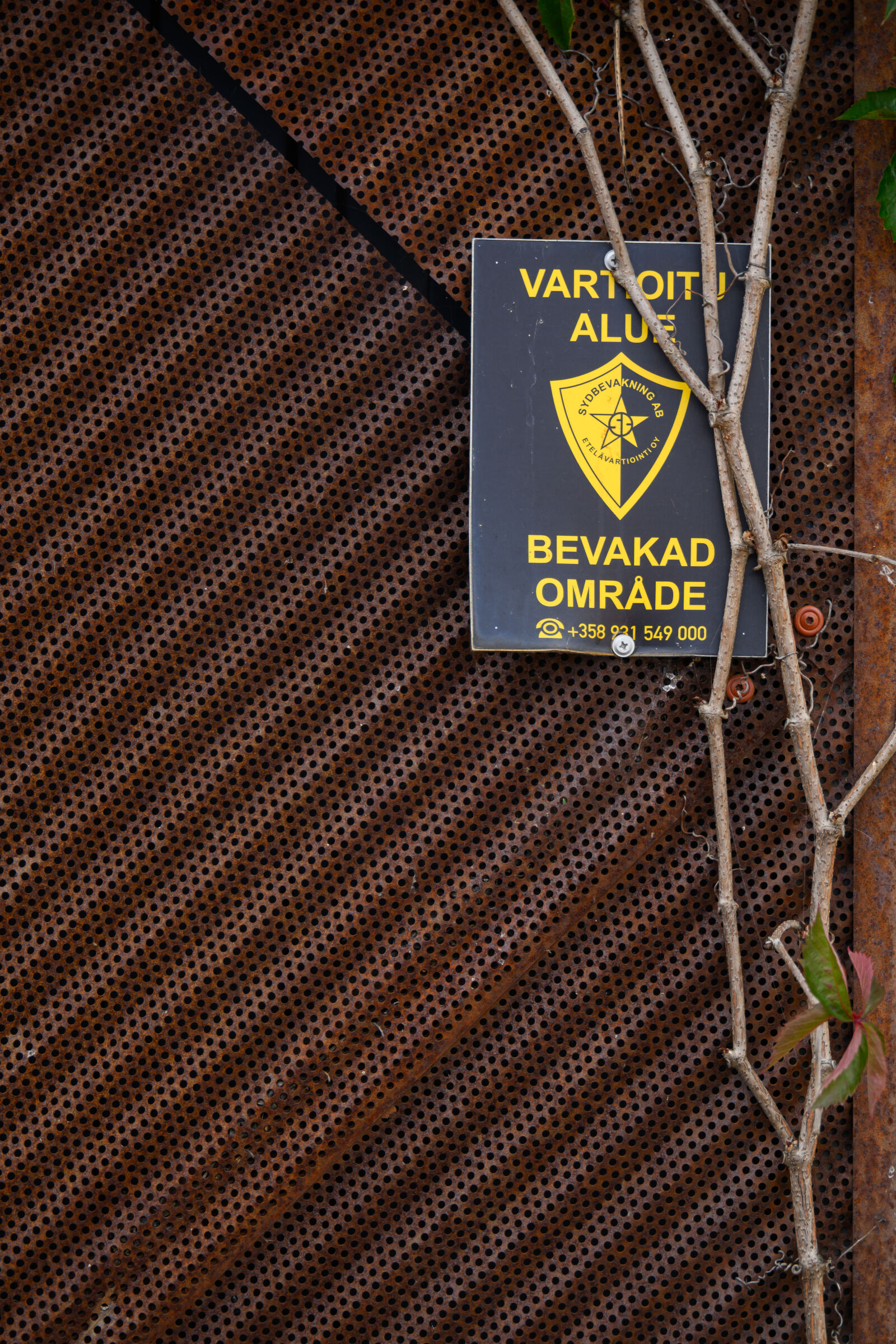 Nikon Z8 sample photo. Overgrown surveillance photography