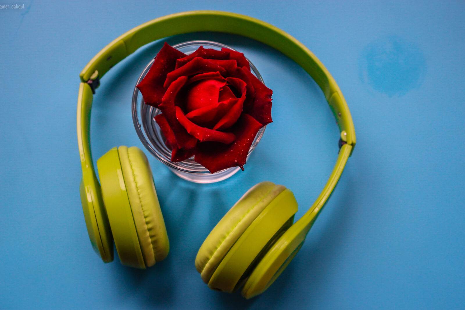 Canon EOS 700D (EOS Rebel T5i / EOS Kiss X7i) sample photo. Artwork, beautiful, flowers, blue photography