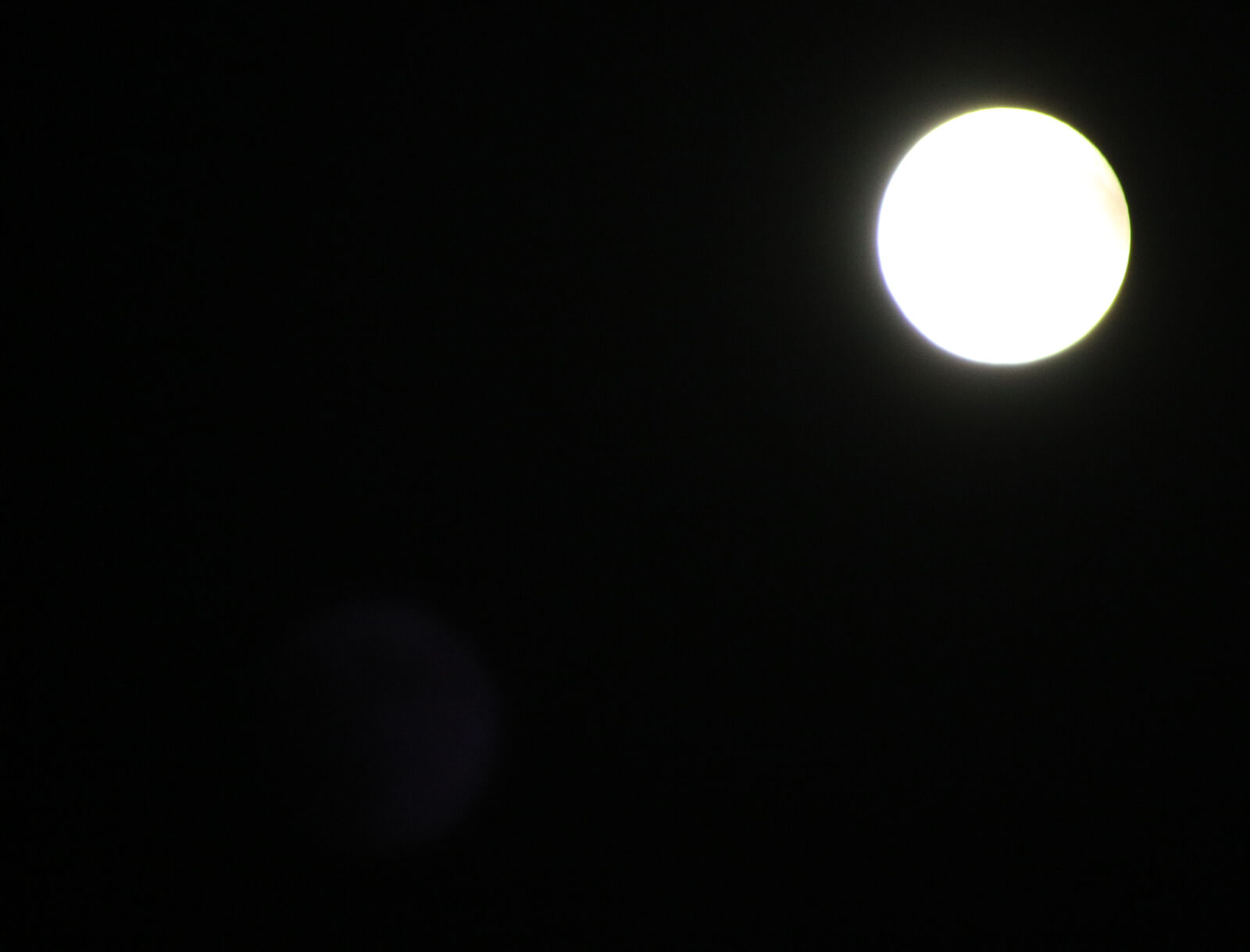 Canon EOS 7D Mark II sample photo. Black, black, and, white photography