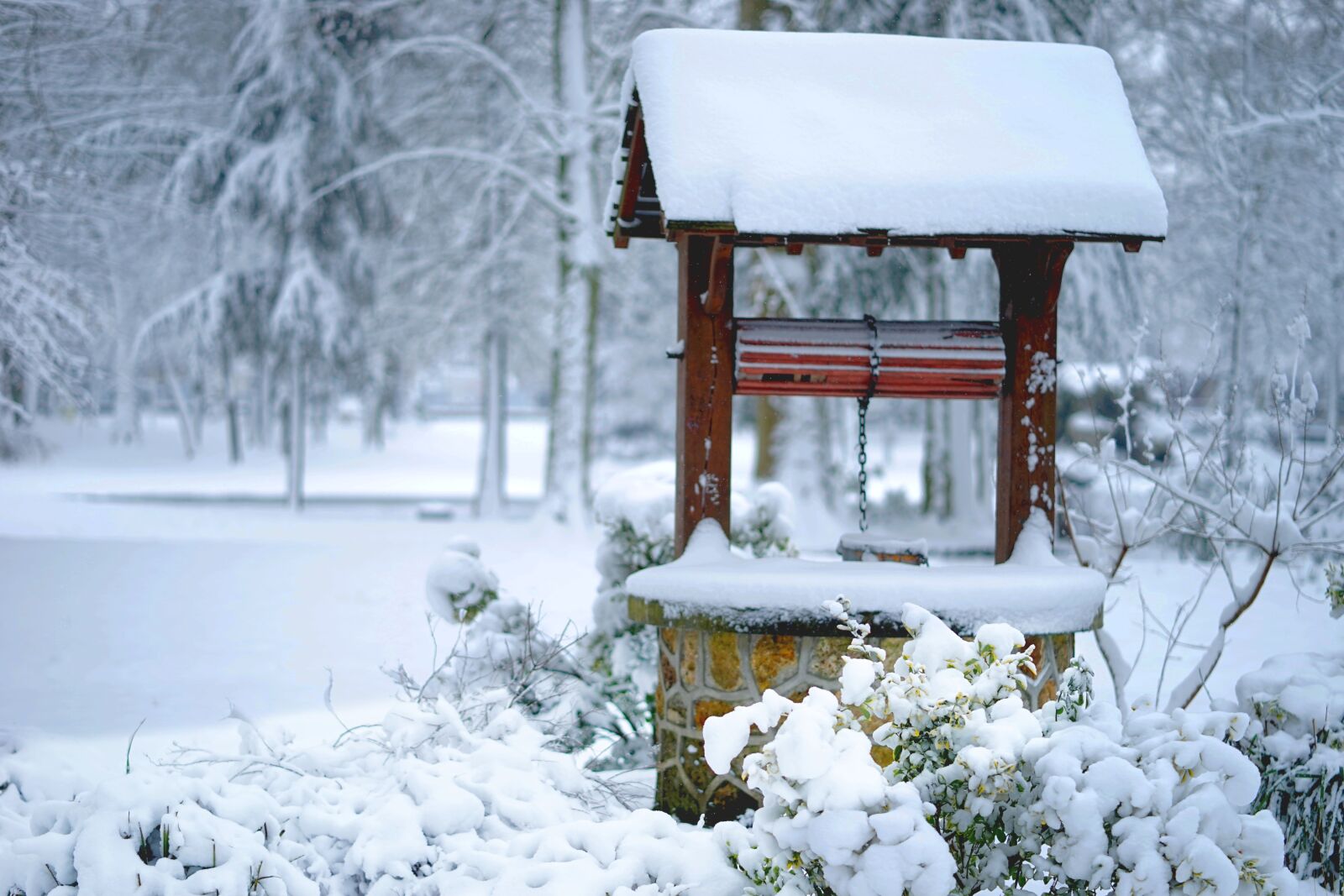 Sony a7 + Sony FE 50mm F1.8 sample photo. Snow, winter, frost photography