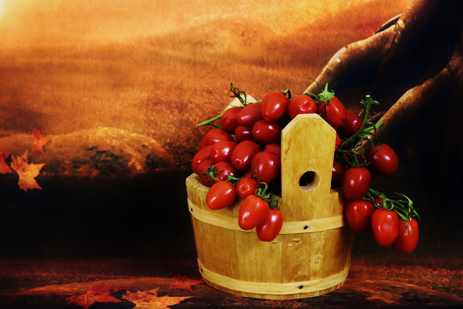 Nikon D7200 sample photo. Tomatoes, wooden bucket, collect photography