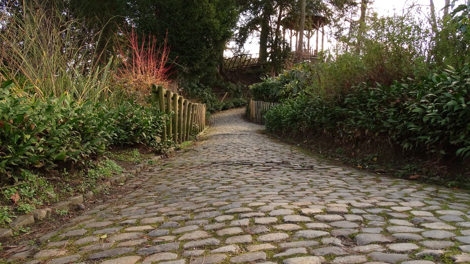 Sony Cyber-shot DSC-HX400V sample photo. Path, pavement, pierre photography