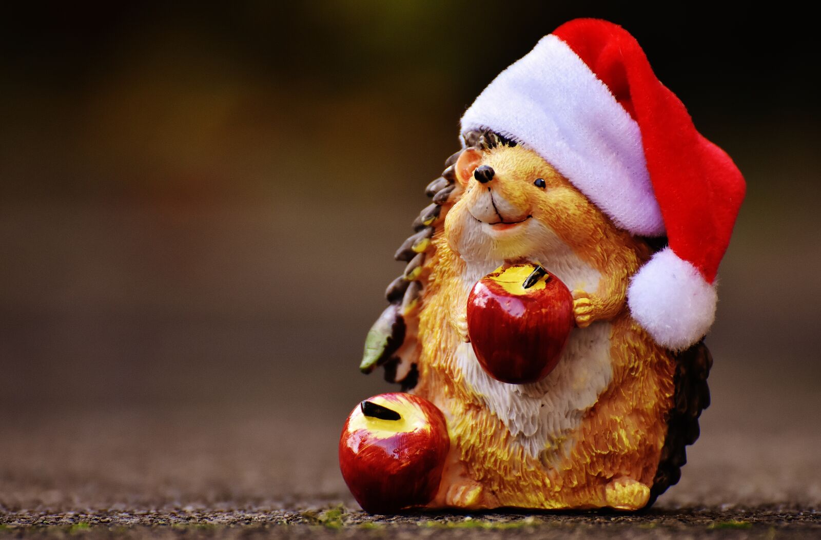 Nikon D7200 sample photo. Hedgehog, figure, christmas photography