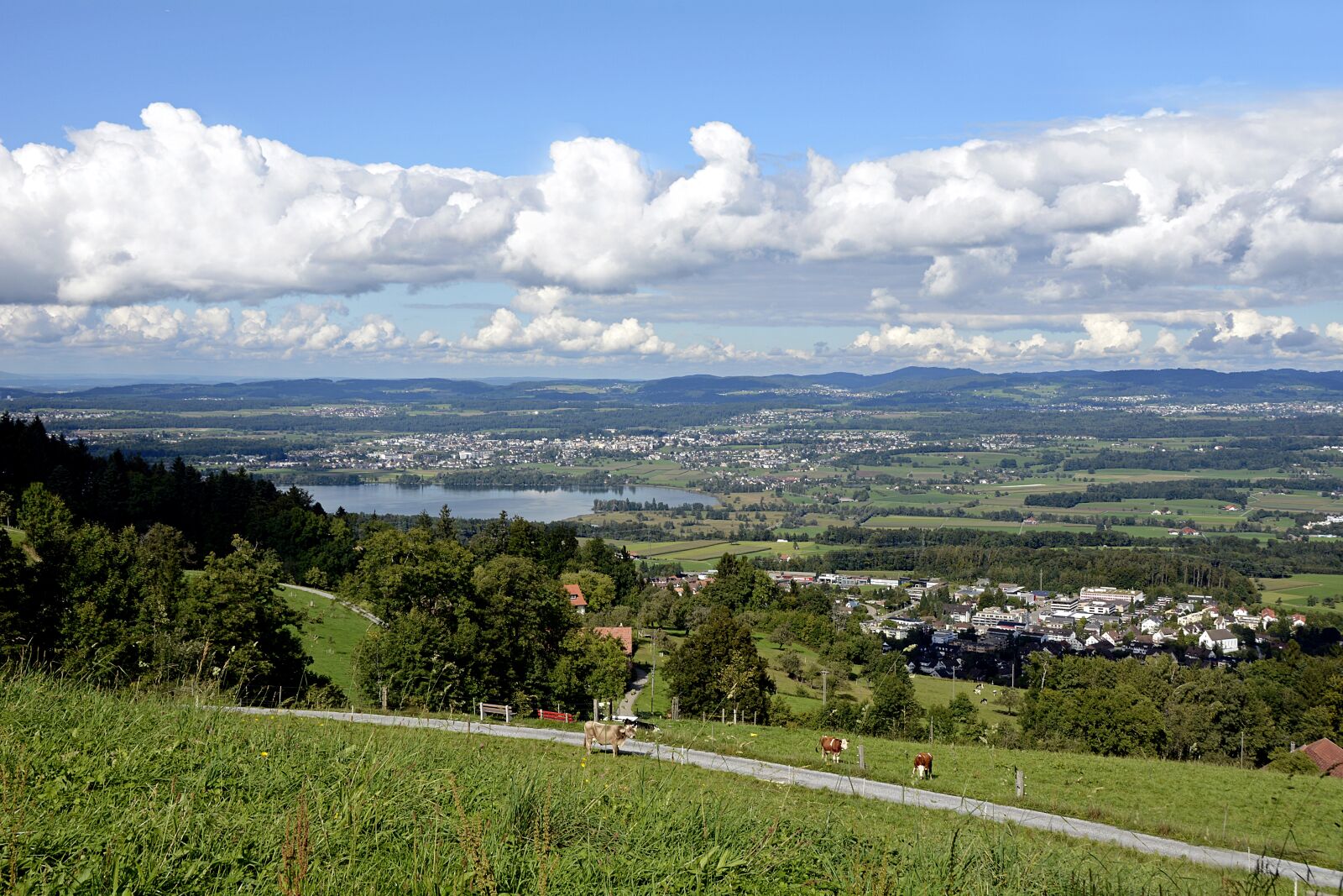 Nikon D7100 sample photo. Pfannenstiel, landscape, nature photography