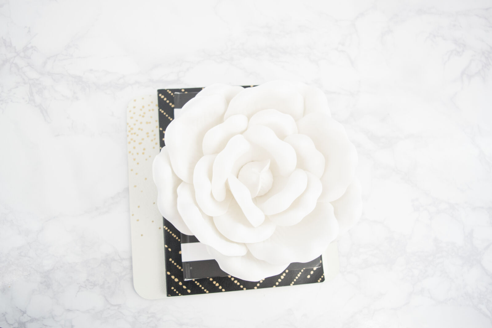 Nikon D3300 sample photo. Books, flower, marble, modern photography