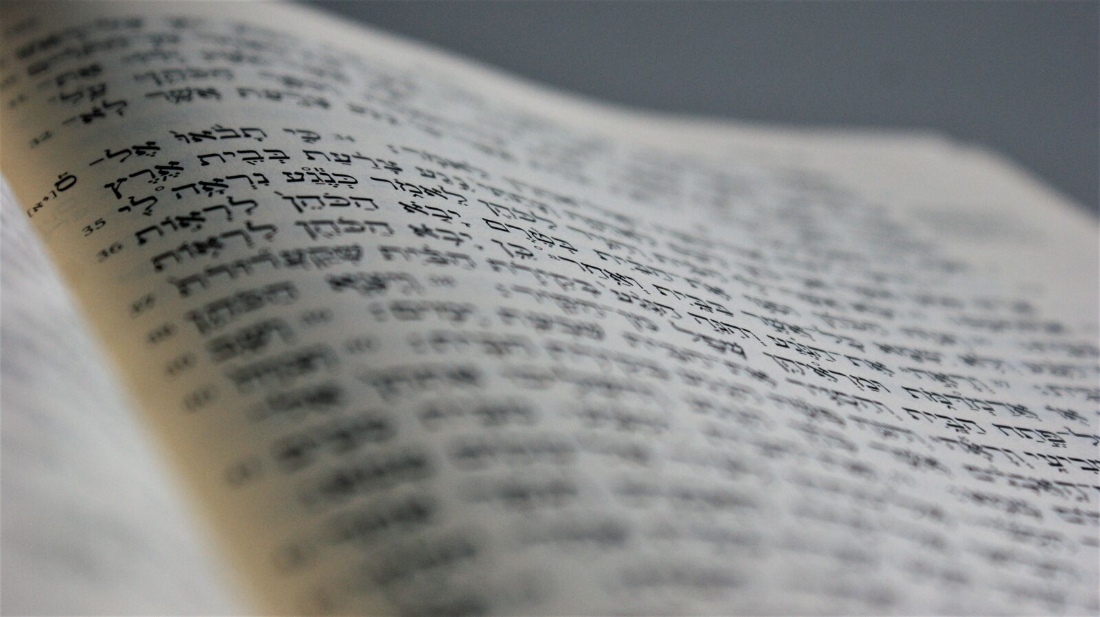 Sony Alpha DSLR-A350 sample photo. It, hebrew, bible photography