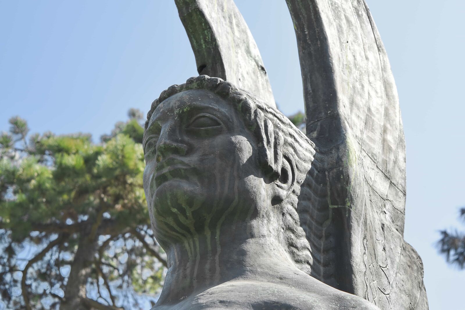 Nikon D5500 sample photo. Angel, bronze, bust, wings photography