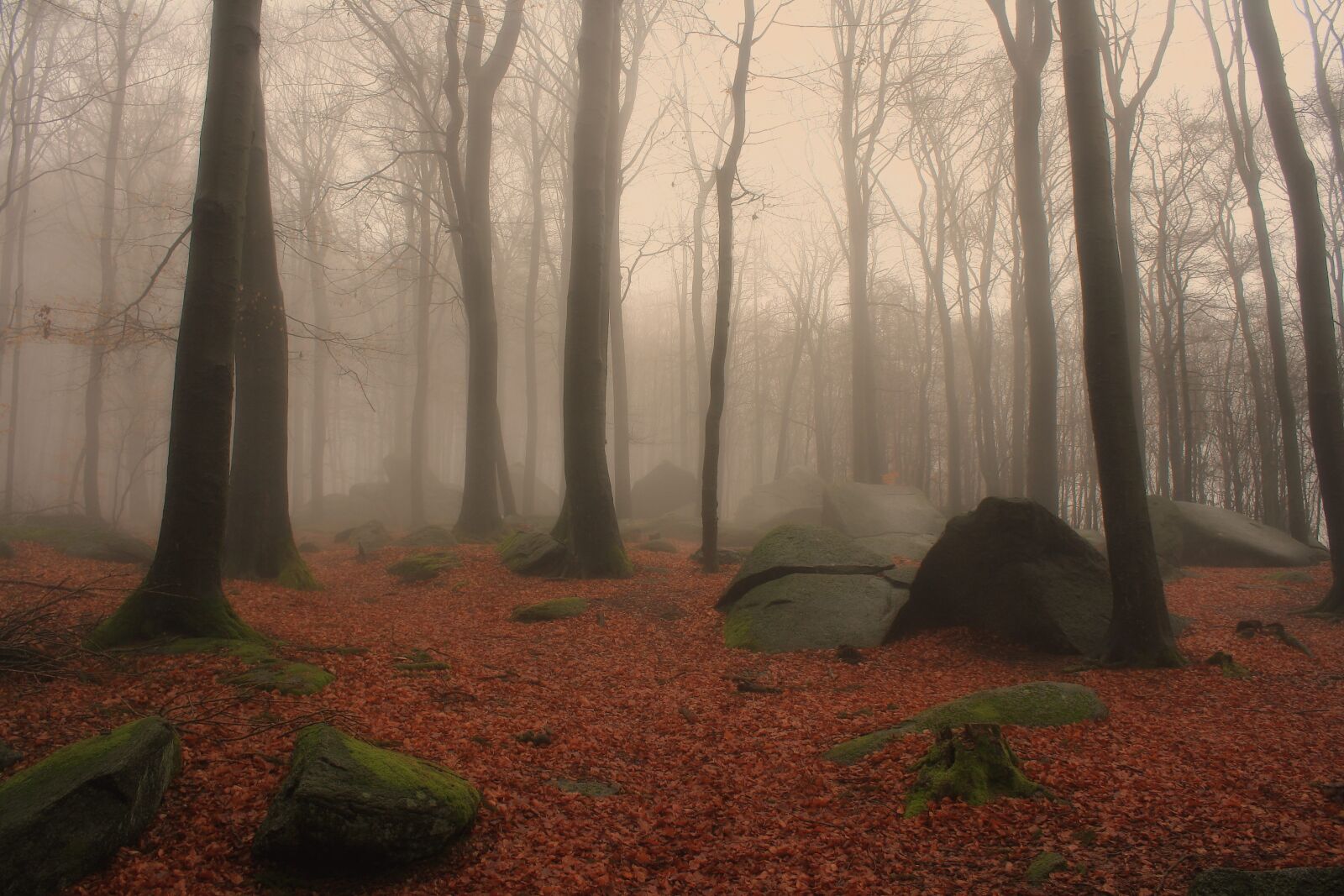 Canon EOS 1000D (EOS Digital Rebel XS / EOS Kiss F) sample photo. Nature, fog, rock photography