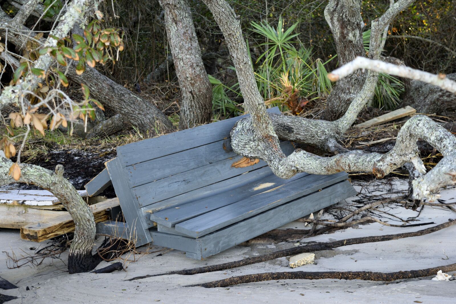 Nikon D3300 sample photo. Hurricane matthew, damage, dock photography