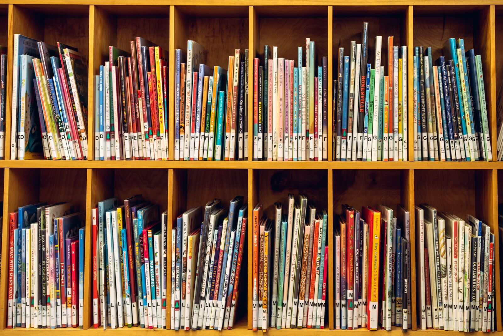 Nikon D750 sample photo. Kid, shelf, books photography