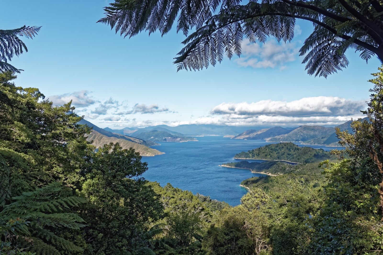 Nikon D500 sample photo. New zealand, fitzroy bay photography