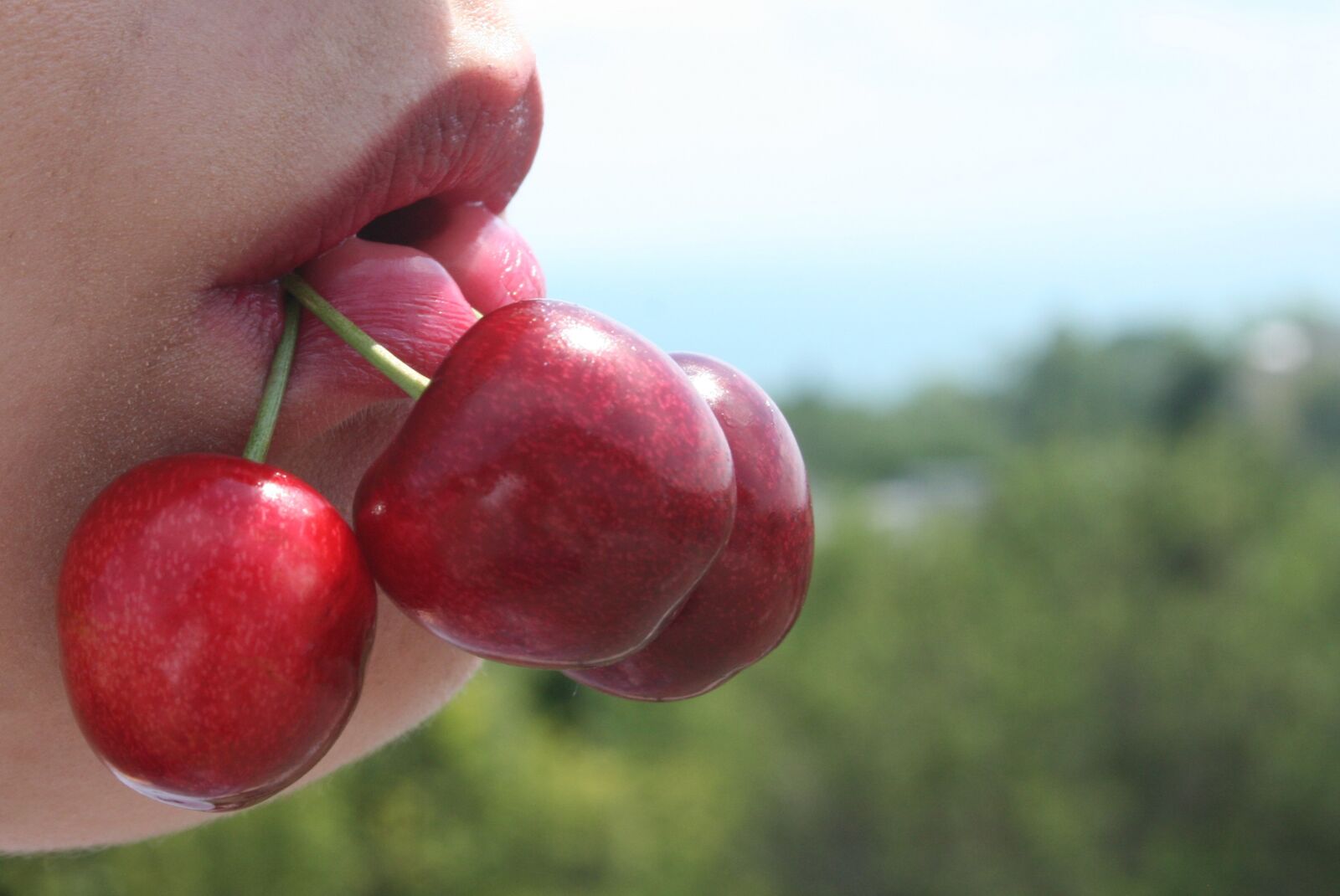 Canon EOS 400D (EOS Digital Rebel XTi / EOS Kiss Digital X) sample photo. Cherry, lips, sweet photography