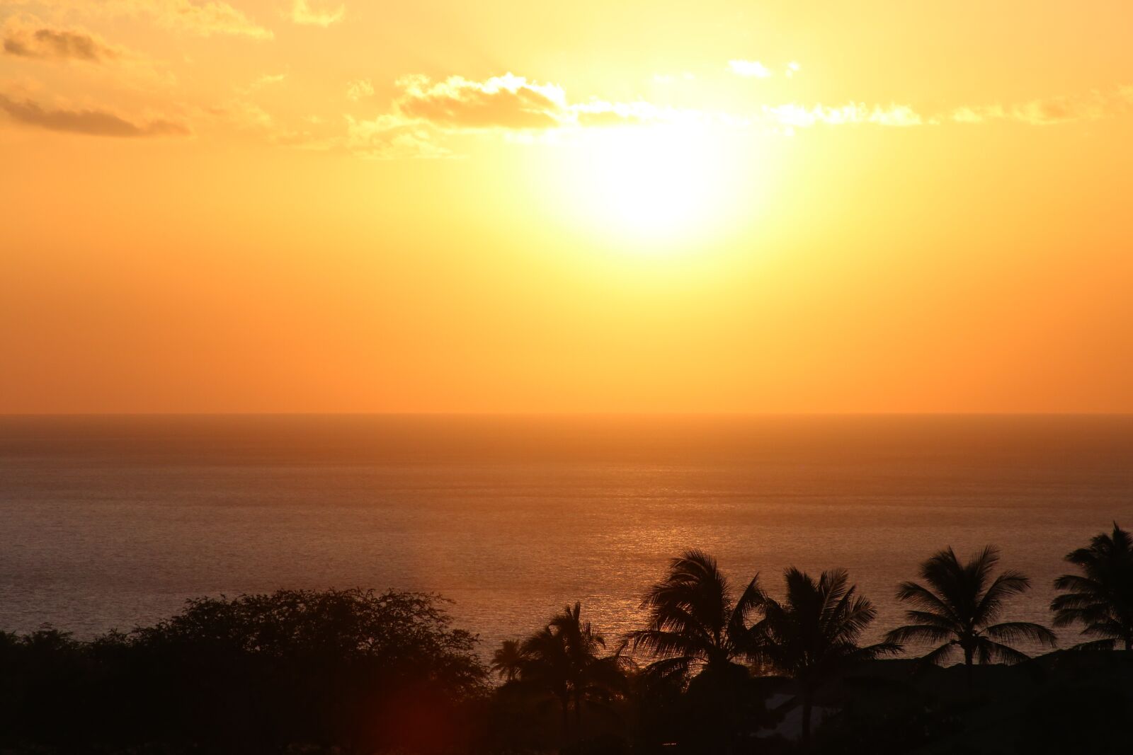 Canon EF75-300mm f/4-5.6 sample photo. Hawaii, palm, sunset photography