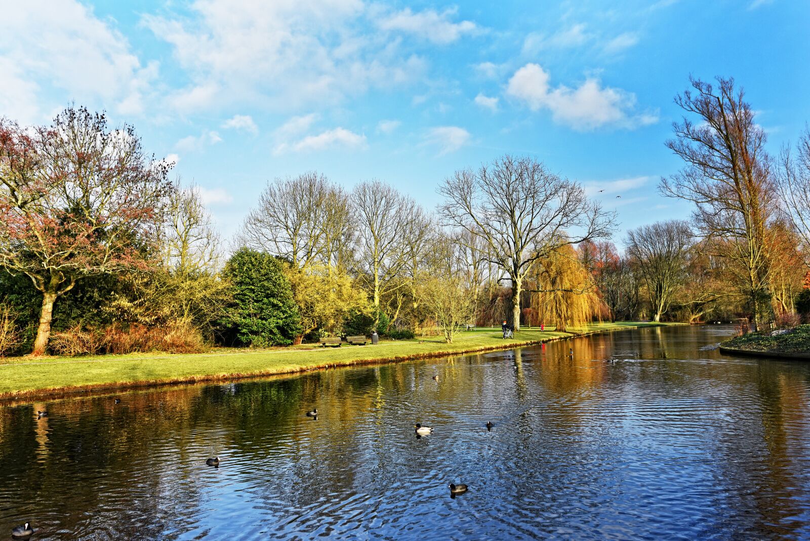 Nikon D750 sample photo. Pond, water, lake photography