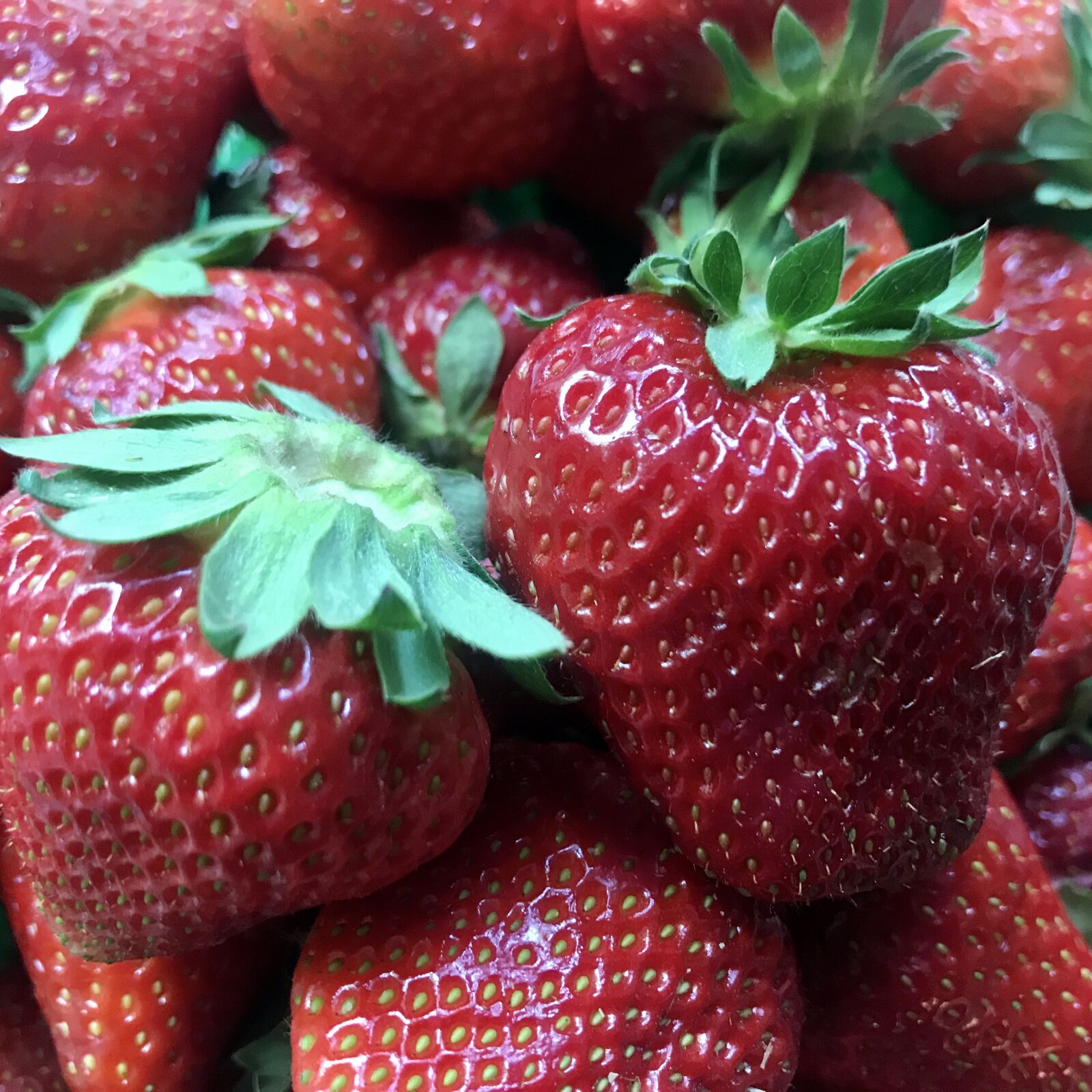 iPhone 7 back camera 3.99mm f/1.8 sample photo. Strawberries, berries, fruit photography