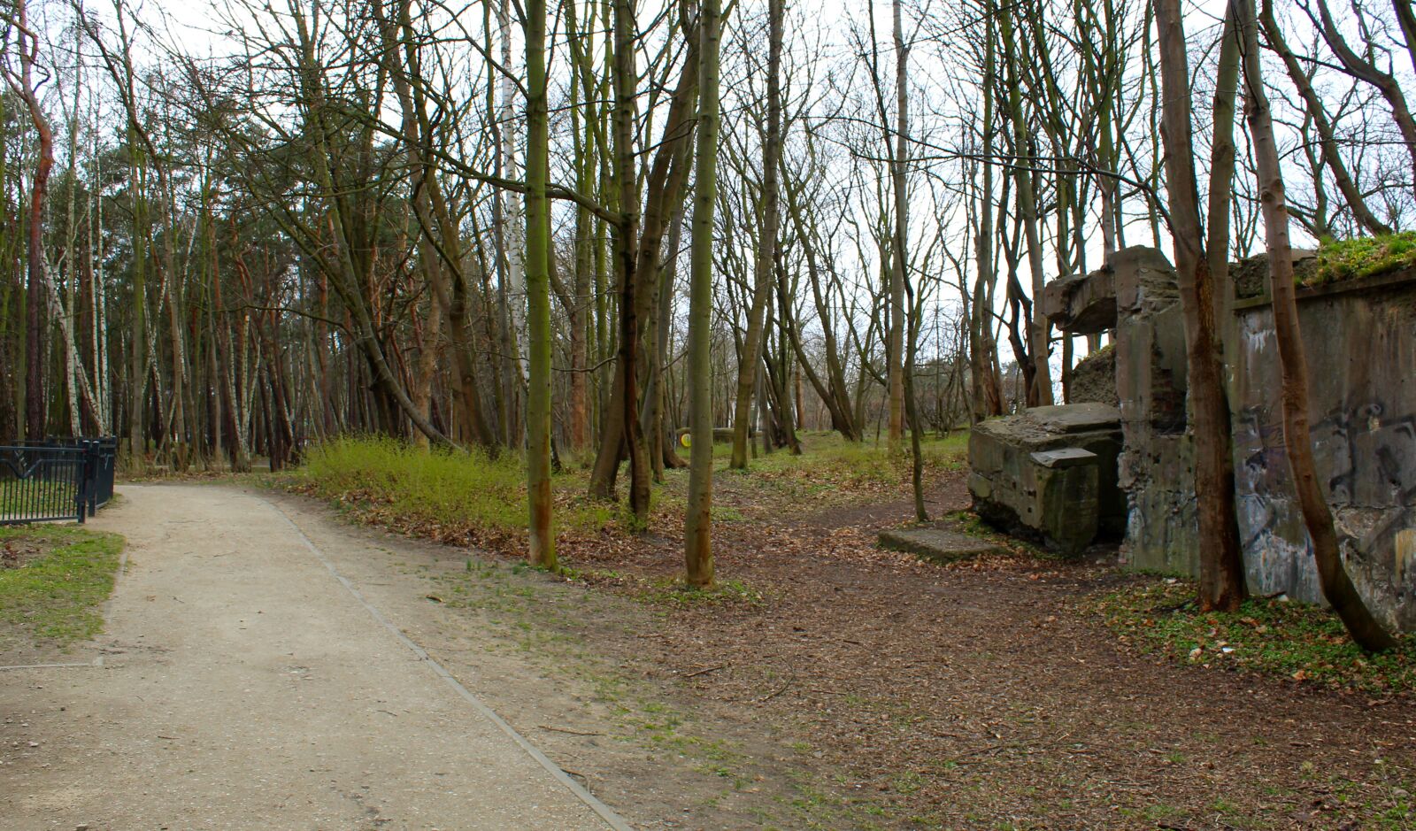 Canon EOS 4000D (EOS Rebel T100 / EOS 3000D) sample photo. Landscape, view, natural photography