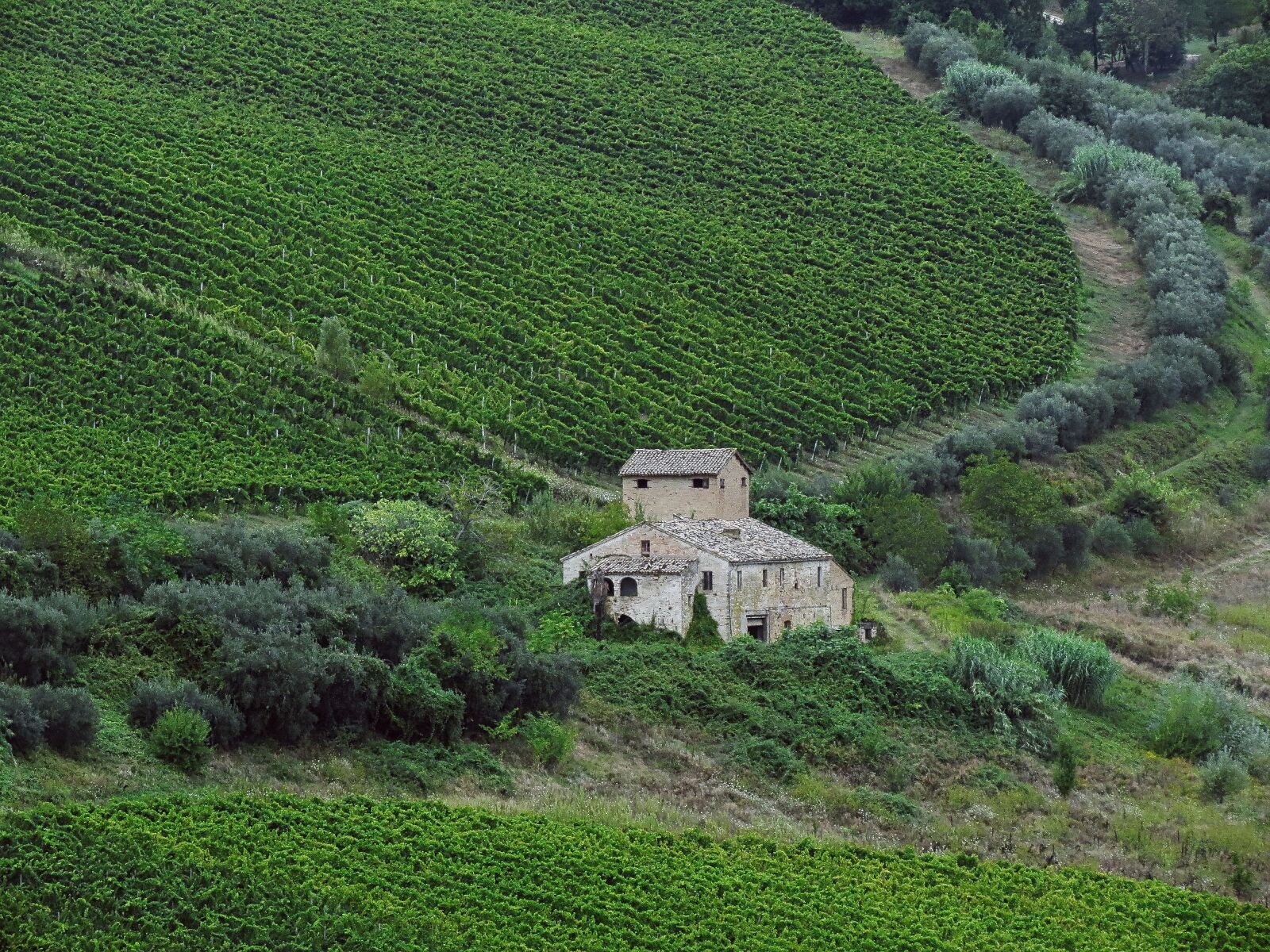 Canon PowerShot SX40 HS sample photo. House, rustico, viticulture photography