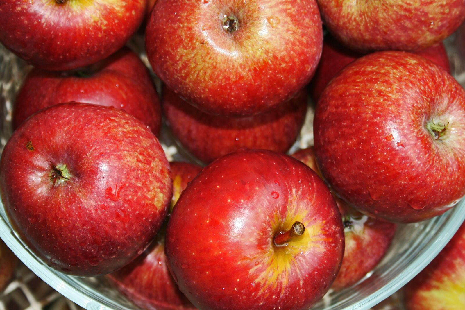 Canon EOS 400D (EOS Digital Rebel XTi / EOS Kiss Digital X) sample photo. Bowl of apples, apples photography