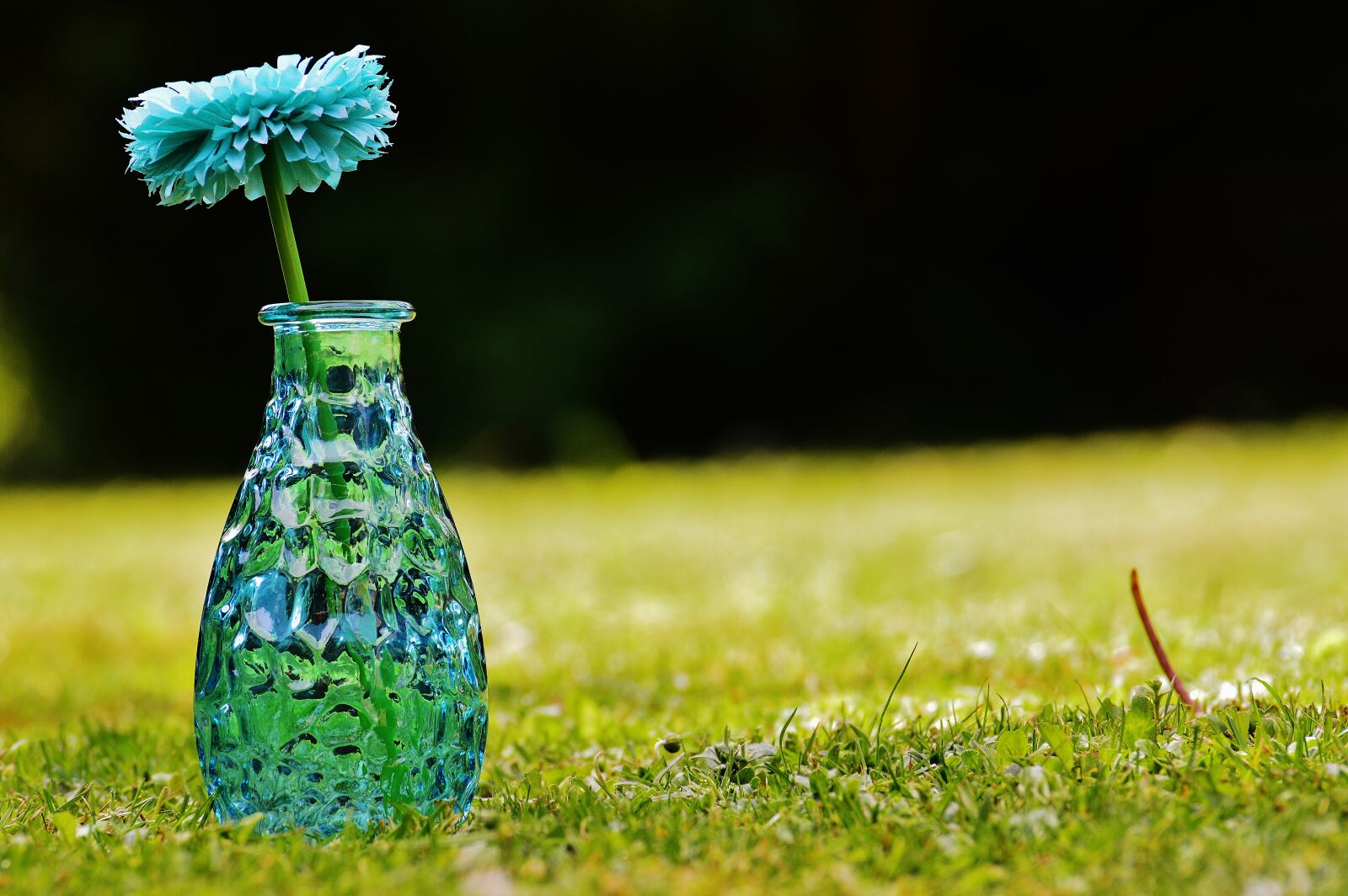 Nikon D3200 sample photo. Vase, glass, flower photography
