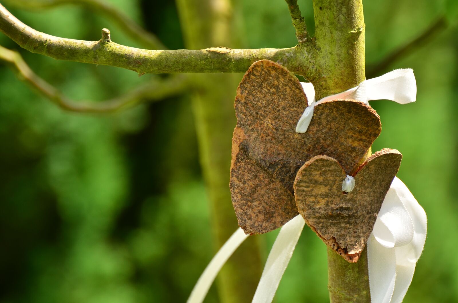 Nikon D5100 sample photo. Heart, love, bark photography