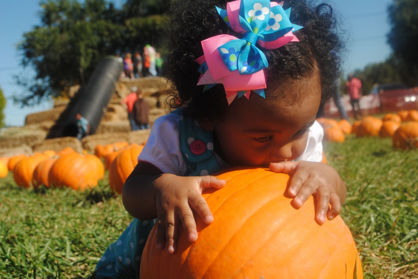 Nikon D3000 sample photo. Pumpkin patch, girl, baby photography