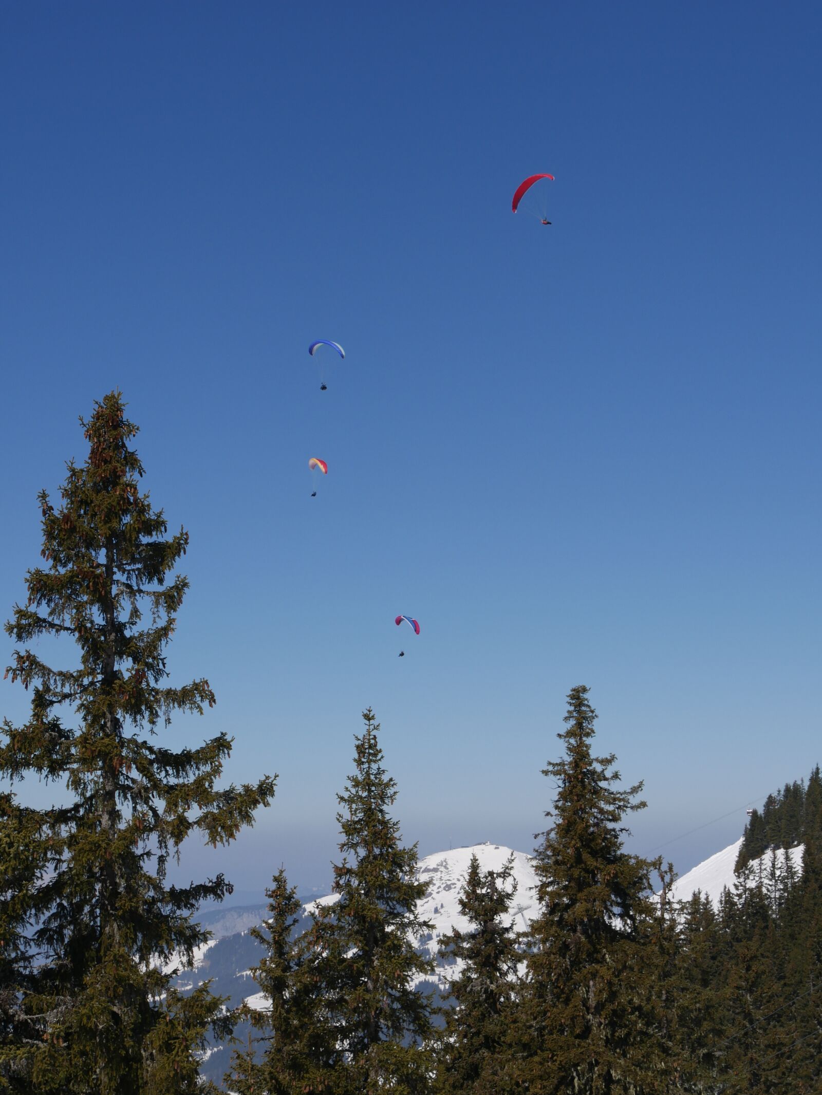 Panasonic DMC-G70 sample photo. Parachute, mountains, paragliding photography