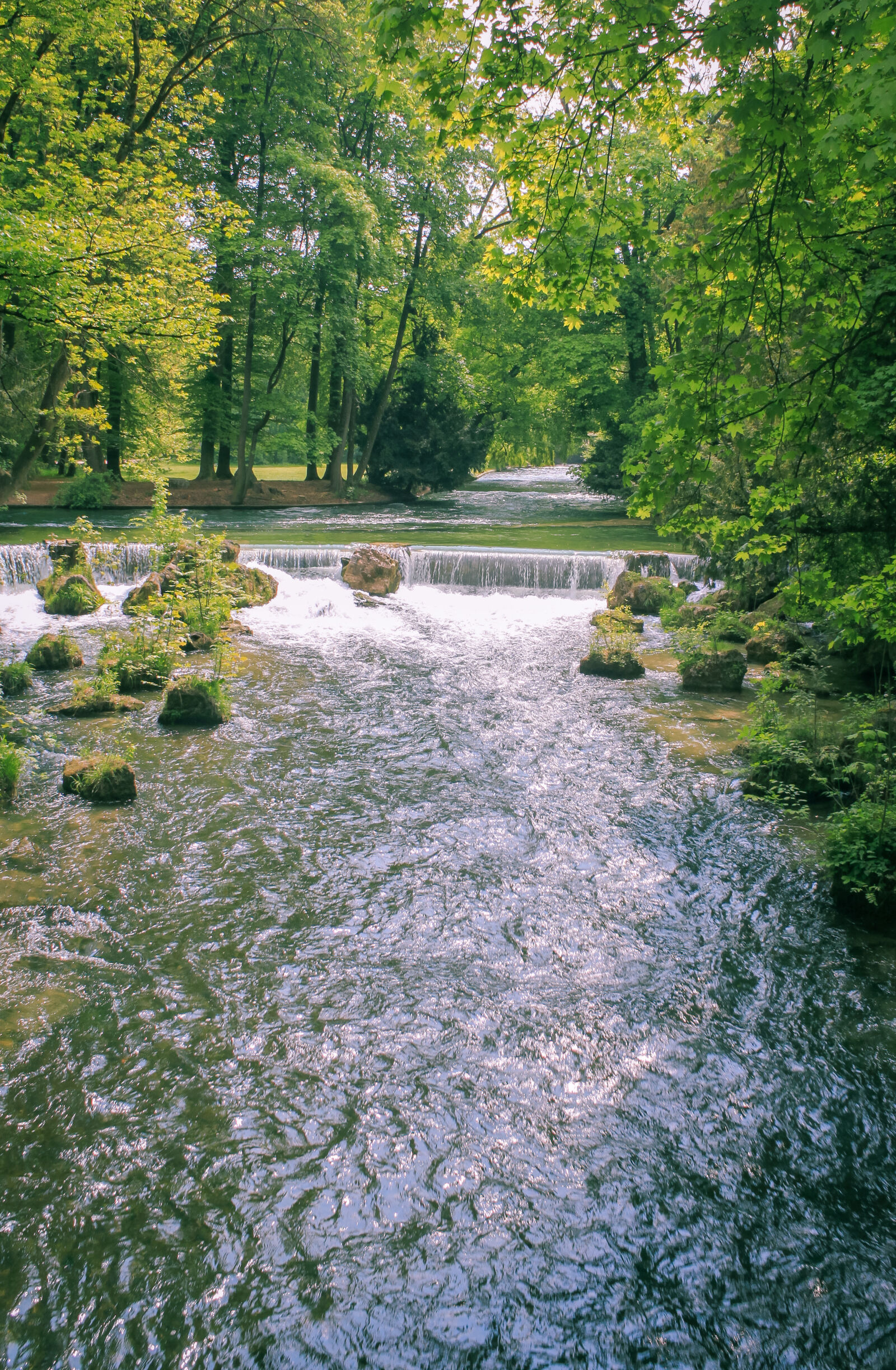 Canon EOS 500D (EOS Rebel T1i / EOS Kiss X3) sample photo. Beautiful, green, happy, nature photography