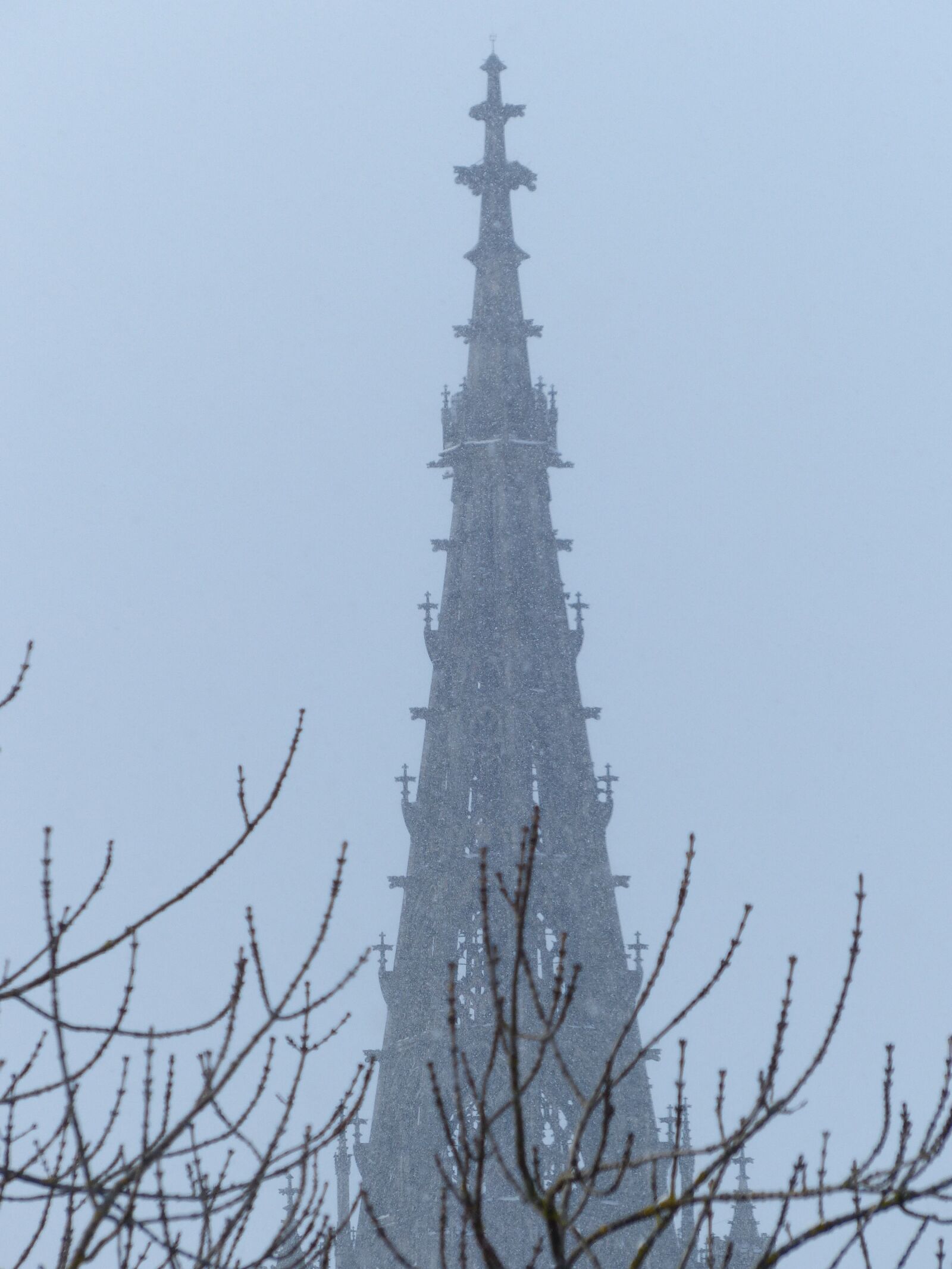 Panasonic Lumix DMC-FZ200 sample photo. Blizzard, snow flurry, snowflakes photography