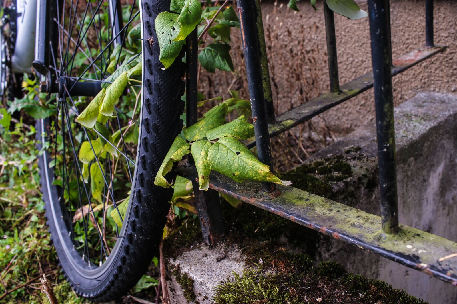 Canon EOS 7D Mark II sample photo. Wheel, bike, bicycle photography