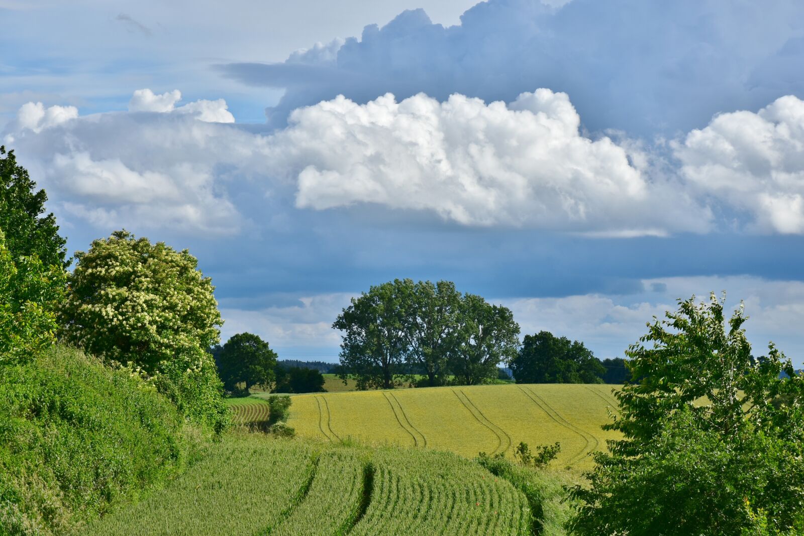 Nikon D7200 sample photo. Landscape, clouds, arable photography