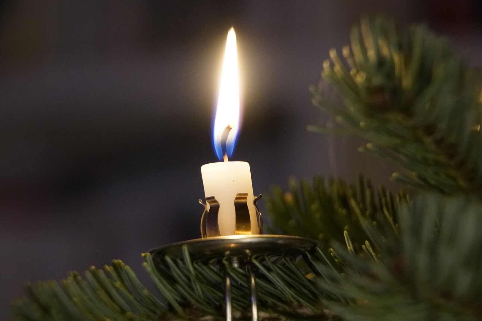 Sony a7R II + Sony E PZ 18-105mm F4 G OSS sample photo. Candle, christmas, tree photography