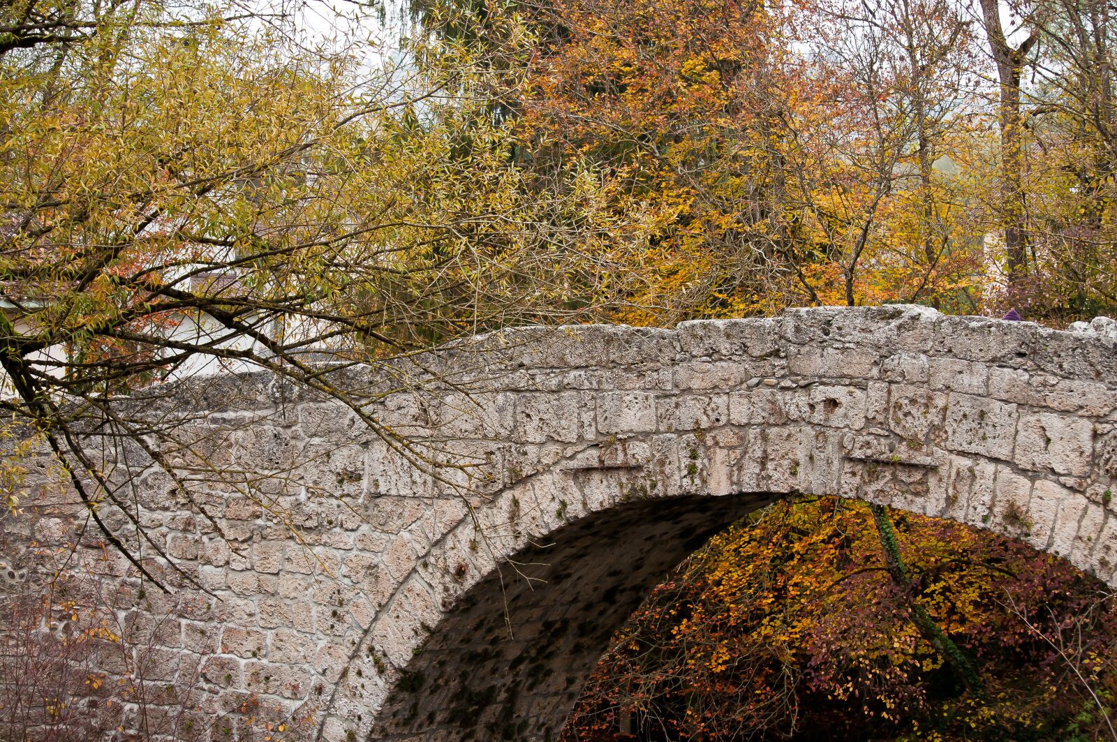Nikon D90 sample photo. Bridge, trees, nature photography