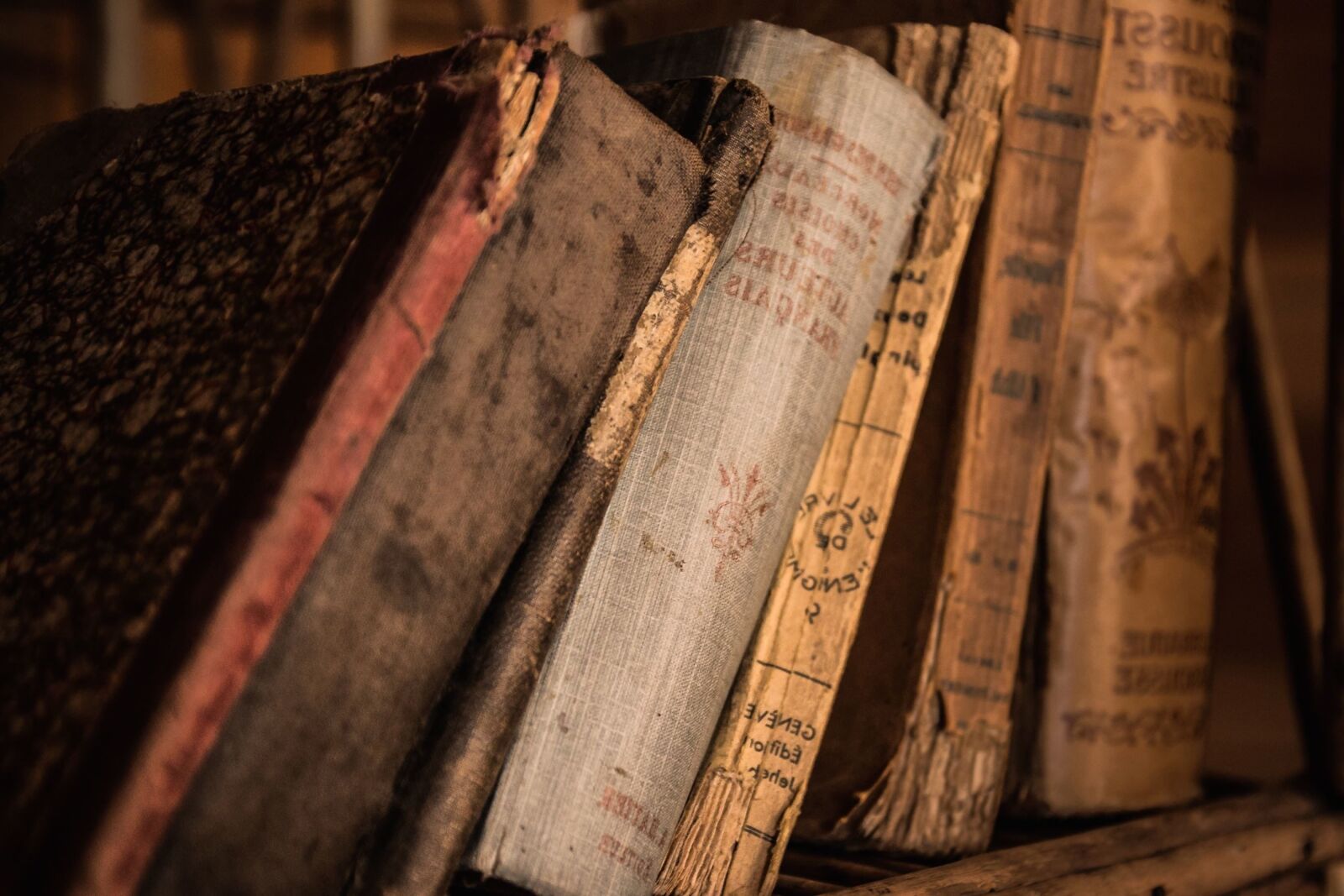 Canon EOS 70D sample photo. Book, bookshelf, old, knowledge photography
