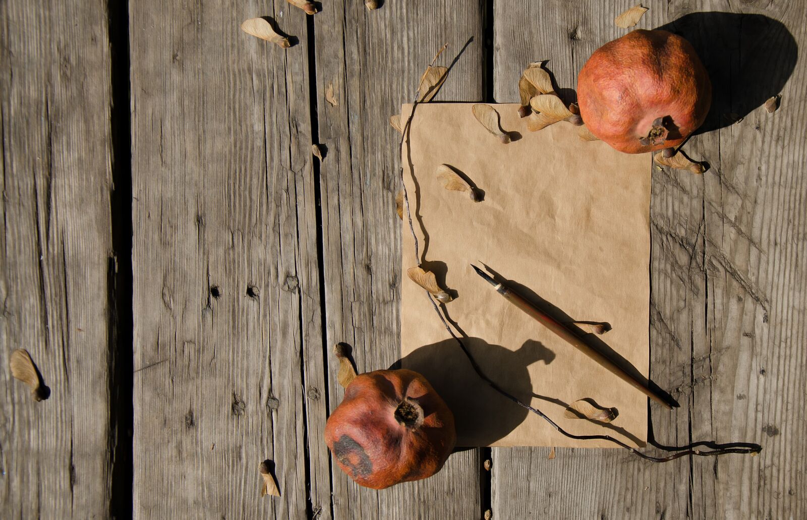 Nikon D7000 sample photo. Fall, autumn, leaves photography