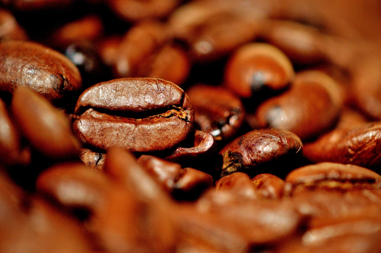Nikon D3200 sample photo. Coffee beans, coffee, stimulant photography
