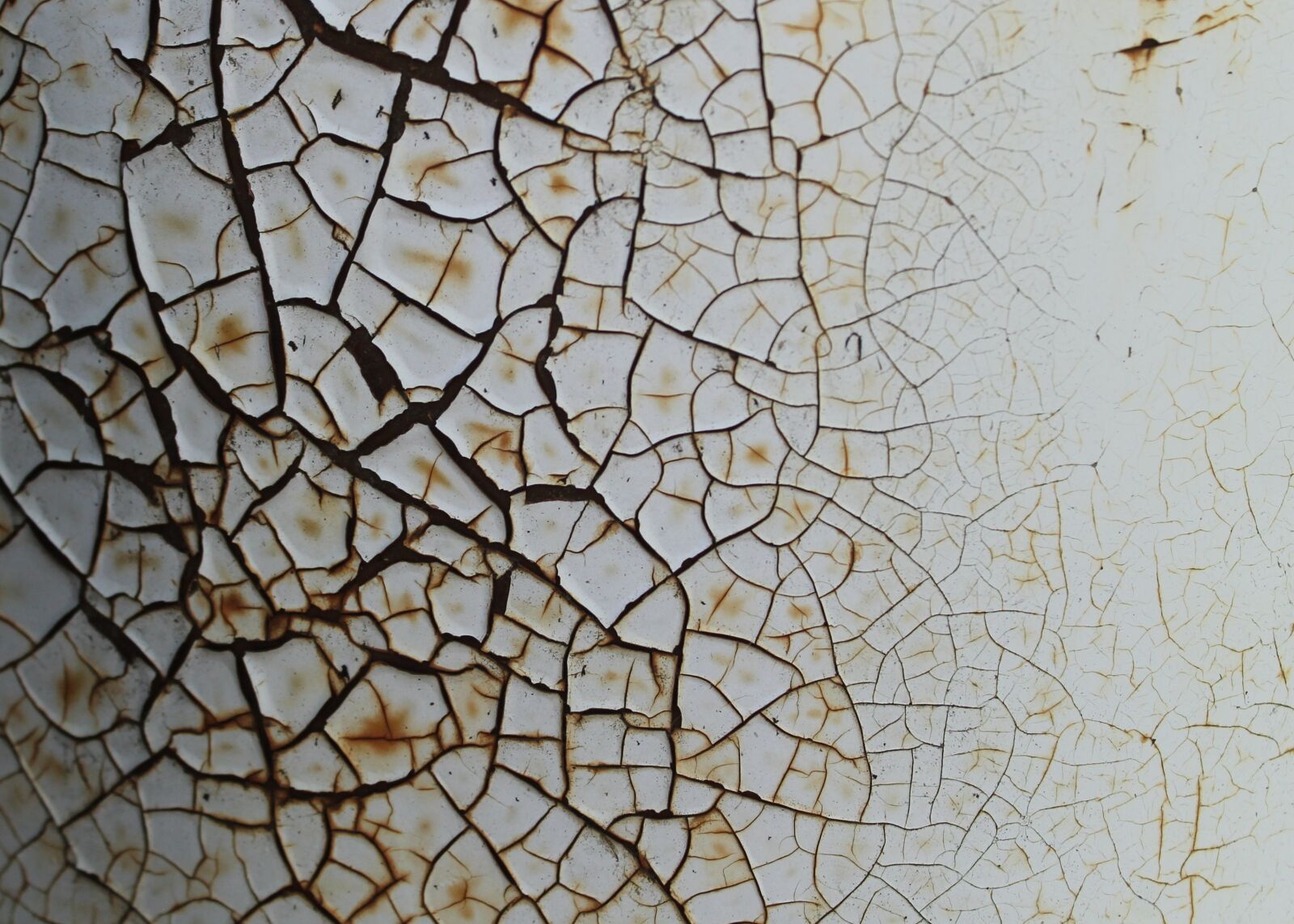 Canon EOS 1100D (EOS Rebel T3 / EOS Kiss X50) sample photo. Background, texture, rust photography