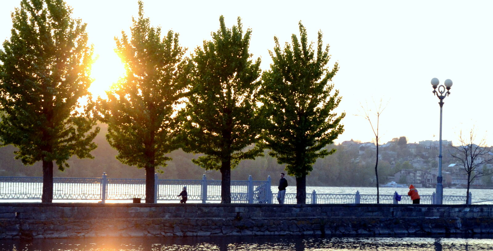 Nikon D3100 sample photo