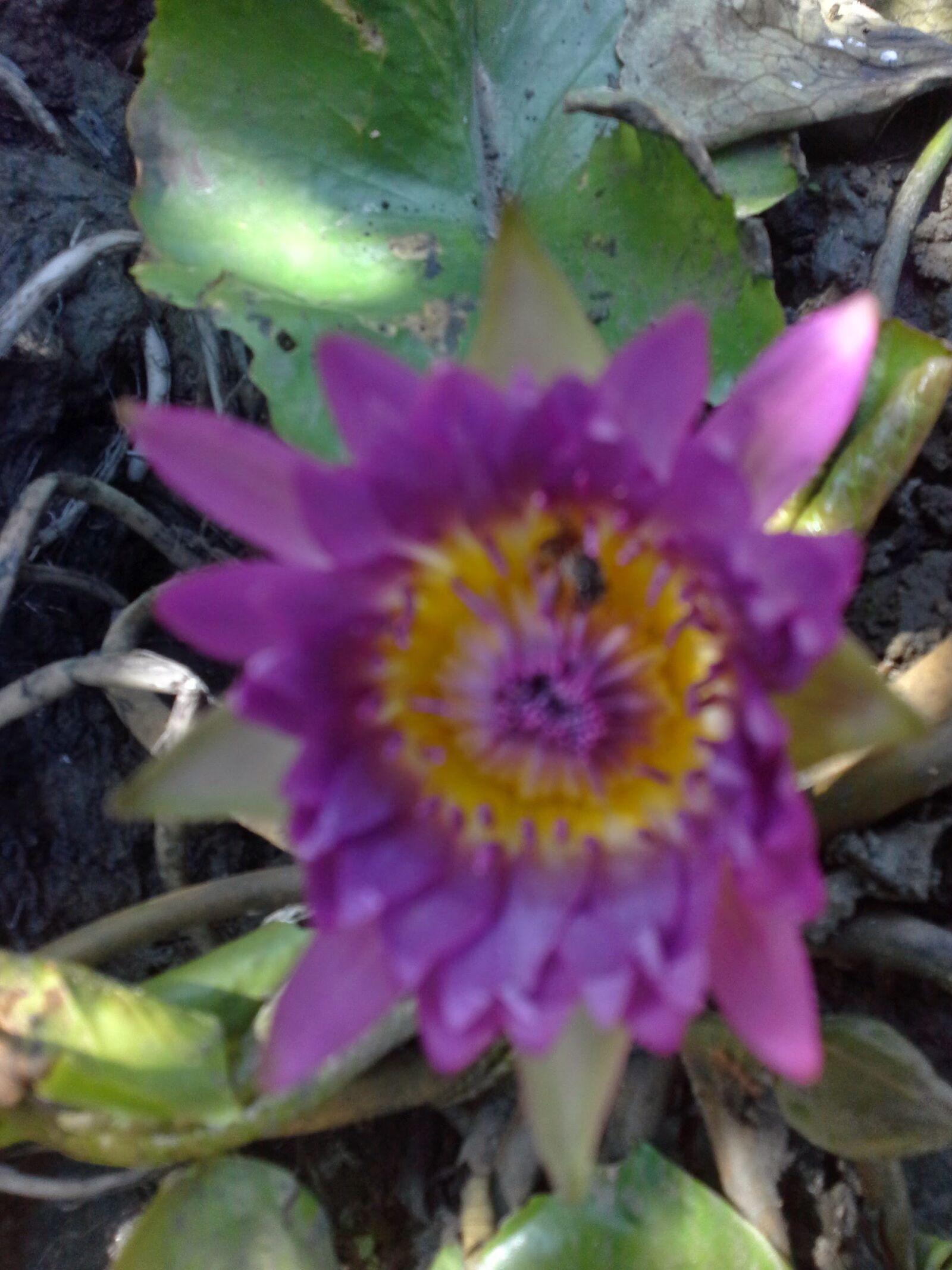 Samsung Galaxy Note 10.1 sample photo