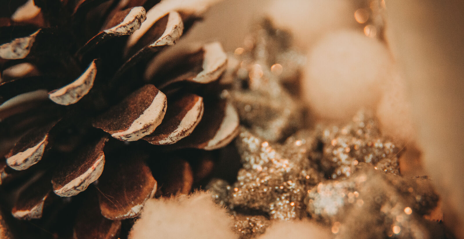 Canon EOS 70D + Canon EF-S 18-135mm F3.5-5.6 IS sample photo. Glitter, pinecone, soft, stars photography