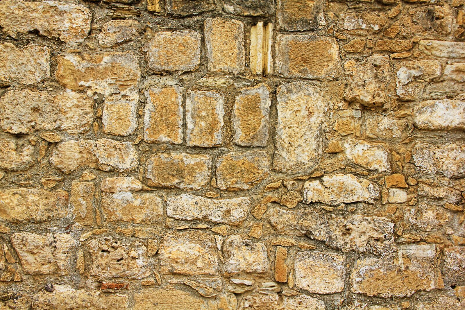 Canon EOS 550D (EOS Rebel T2i / EOS Kiss X4) sample photo. Wall, texture, stone photography
