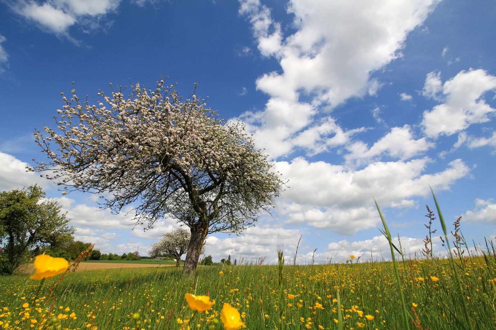Canon EOS 700D (EOS Rebel T5i / EOS Kiss X7i) sample photo. Landscape, nature, sky photography