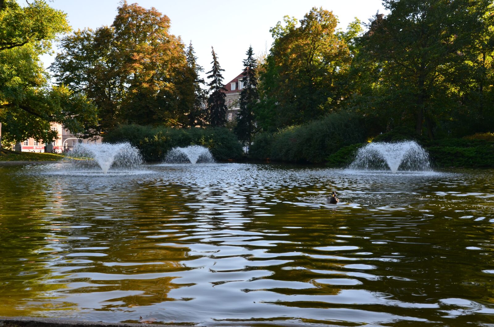 Nikon D5100 sample photo. Park, pond, fountain photography