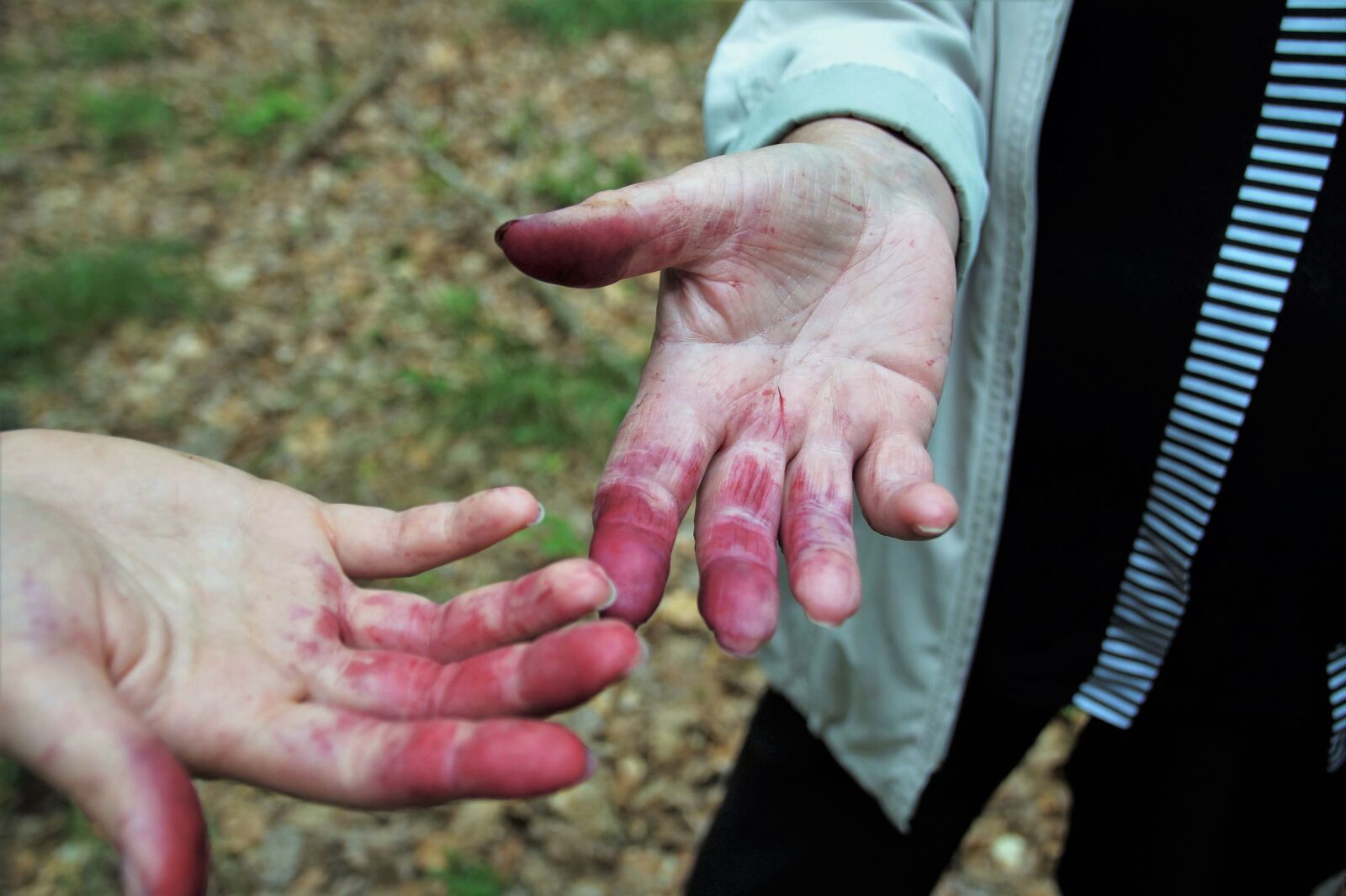 Sony SLT-A58 sample photo. Hands, hand, dyed photography