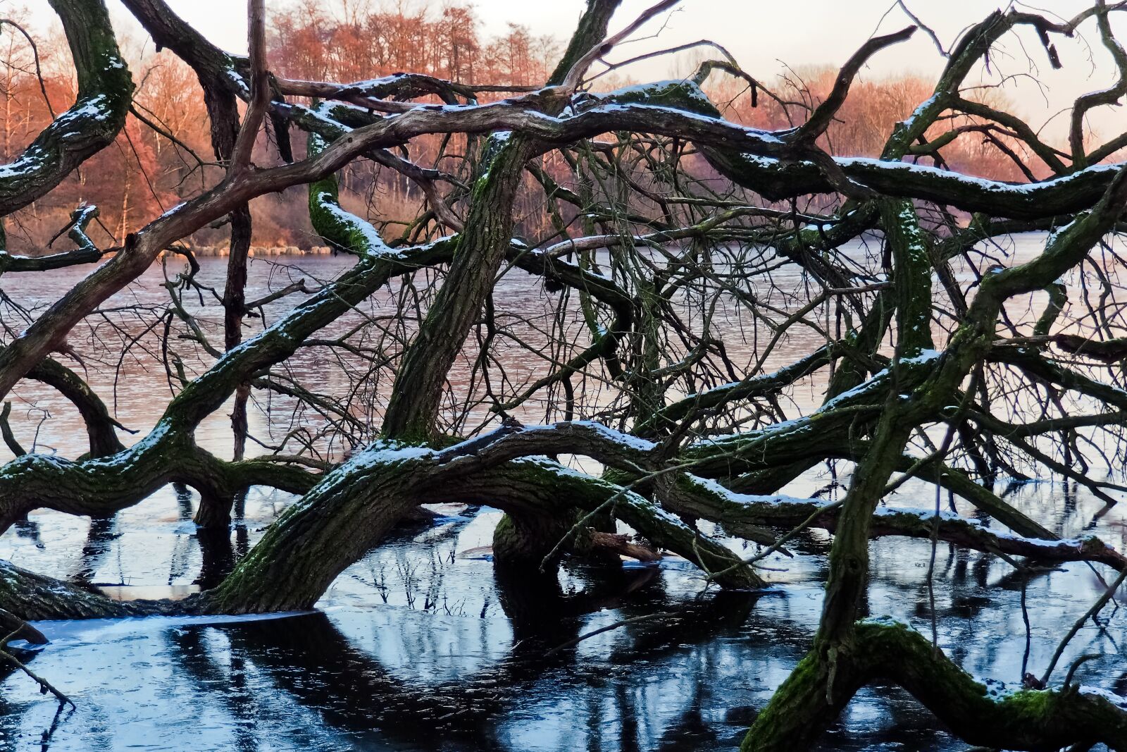 Olympus OM-D E-M10 sample photo. Lake, landscape, nature photography