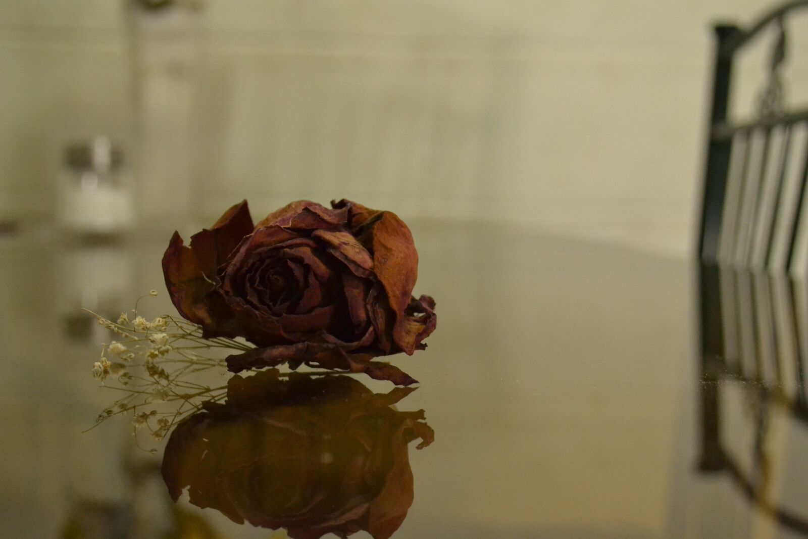 Nikon D3100 sample photo. Rosa, romantic, love photography