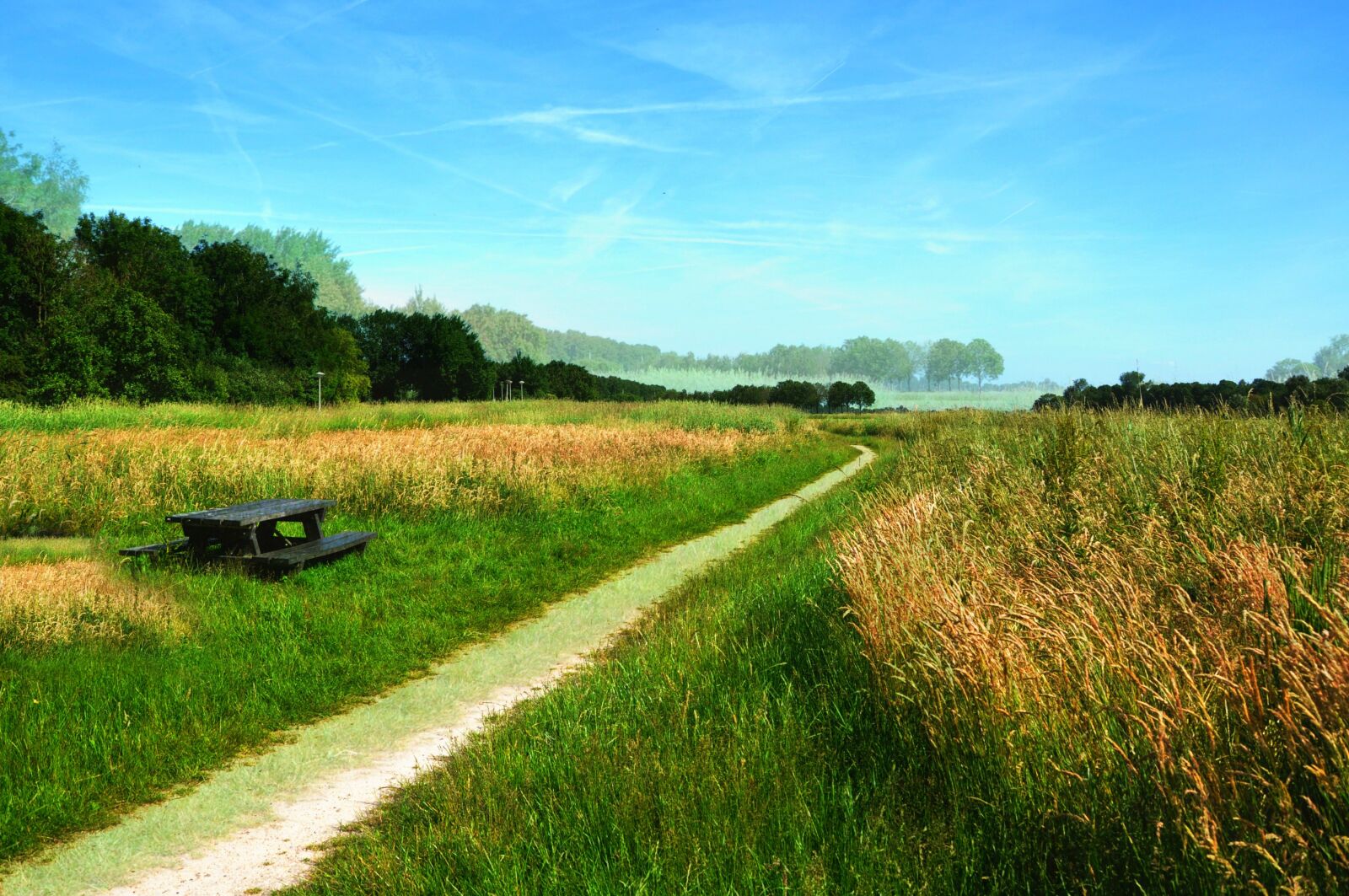 Nikon D90 sample photo. Amstelveen, field, grass, groengebied photography