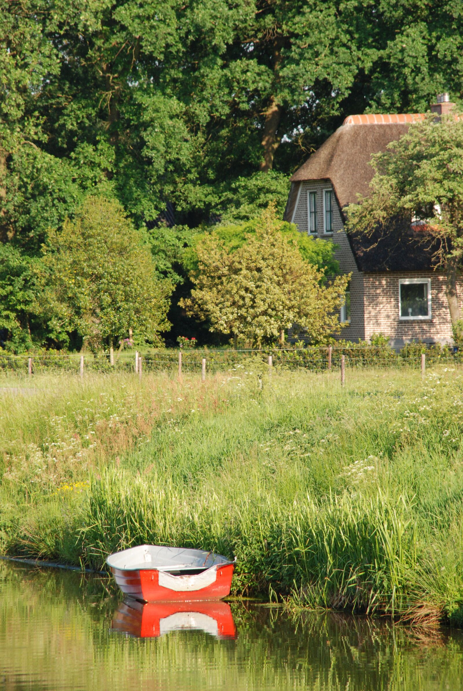 Nikon D80 sample photo. Water, boat, farm photography