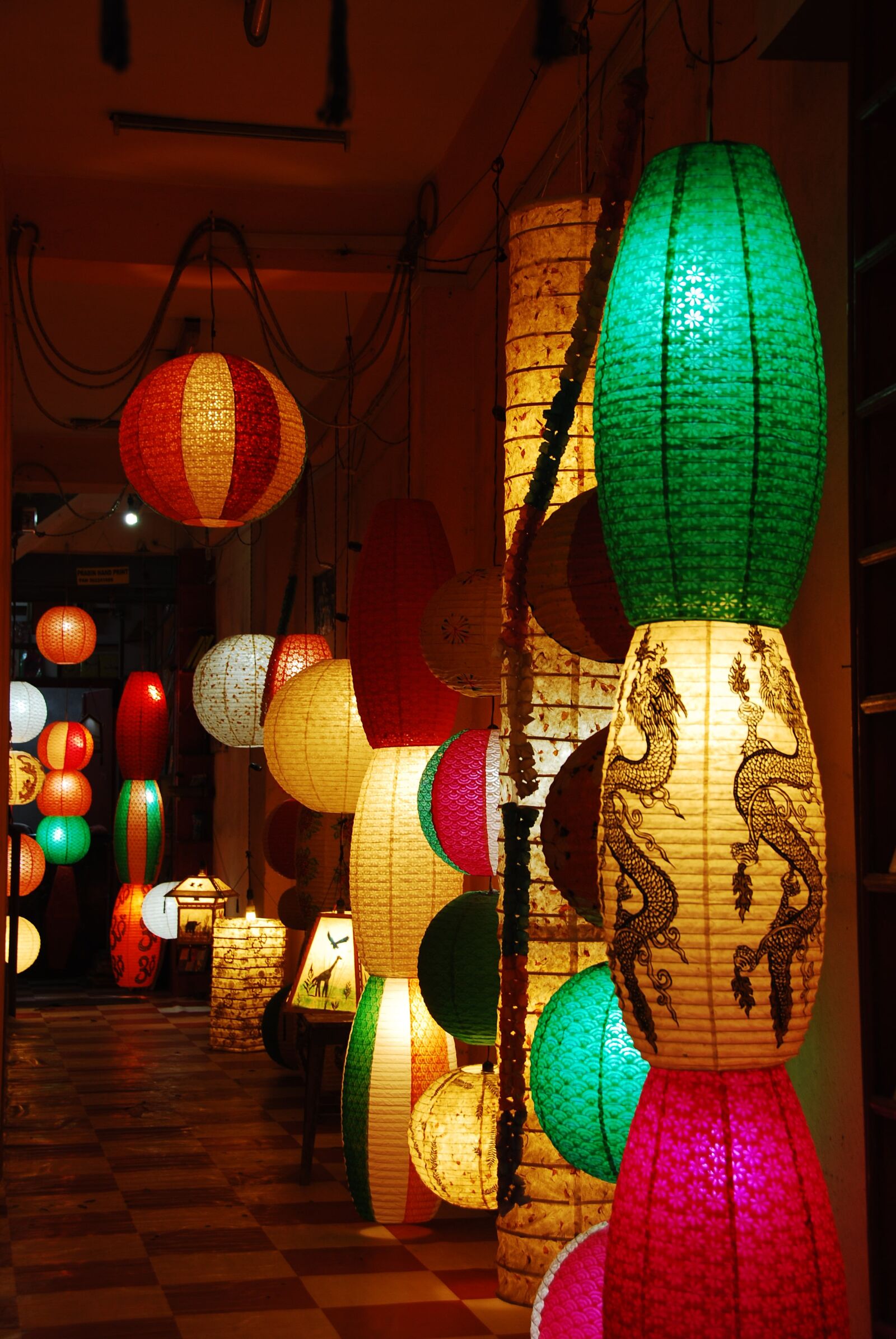 Nikon D80 sample photo. Chinese lantern, india, nepal photography