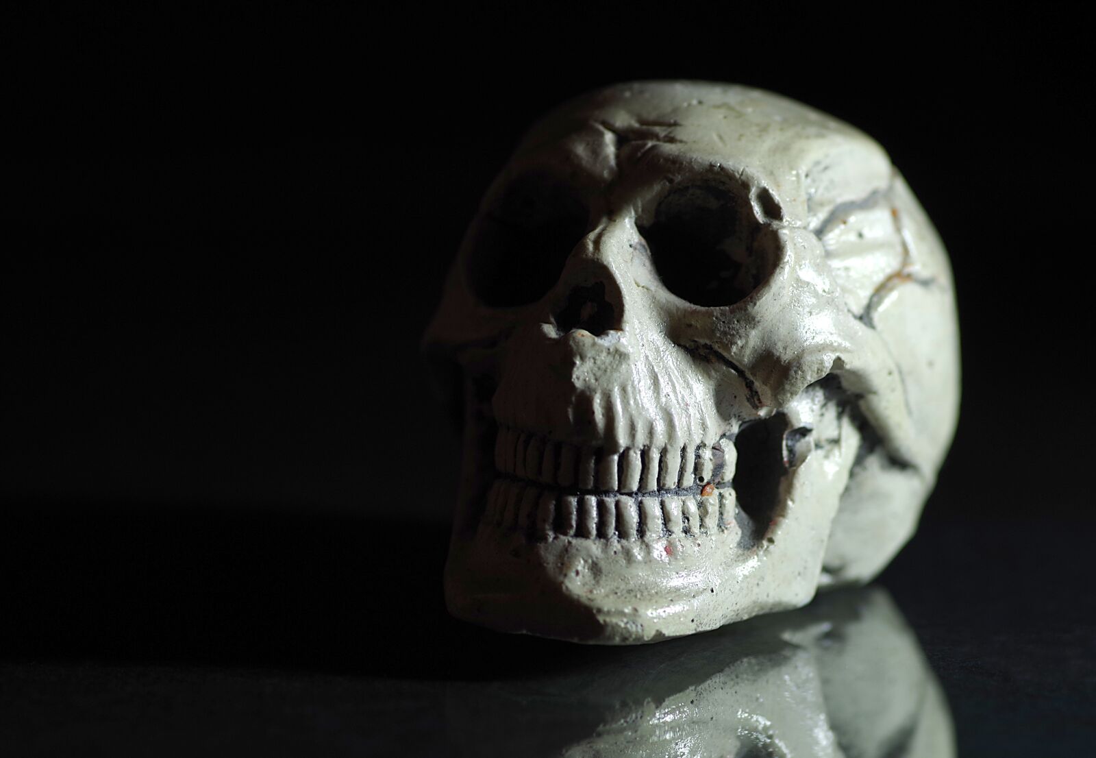 Pentax K-S2 sample photo. Skull, death, horror movie photography